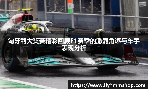 安信12娱乐