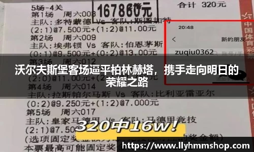 沃尔夫斯堡客场逼平柏林赫塔，携手走向明日的荣耀之路